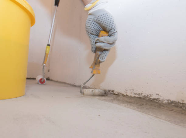 Best Termite Inspection and Treatment  in Clemmons, NC